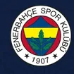 FIFA'dan Fenerbahçe'ye Transfer Yasağı: Kulüpten Açıklama Geldi