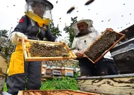 Artvin'de Arı ve Bal Turizmi İçin Yeni Adım: Apiturizm İçin Düğmeye Basıldı