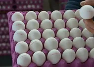 Avrupa'da yumurta alarmı: 306 kişi hastalandı, 8 ülkede geri çağırma başladı