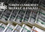 Merkez Bankası Rezervleri 171,2 Milyar Dolar Oldu