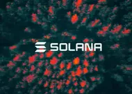 Solana Treasury Firm Skyai Keeps Board After Shareholder Protest, Loses Equity Plan Vote