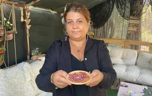 İş Gezisinde Tattı, Bahçesinde Çoğaltıp Dağıtmaya Başladı