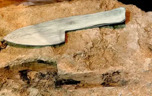 Neandertallerin Bilinmeyen Yeteneği Ortaya Çıktı: Meğer Marangozluk da Yapıyorlarmış