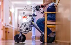 Ökonom: "Demografische Herausforderung Kommt Erst"