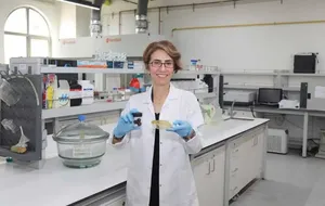 Plastiğe Alternatif Olacak: Meyve Kabuklarından Biyobozunur Ambalaj Geliştirilecek