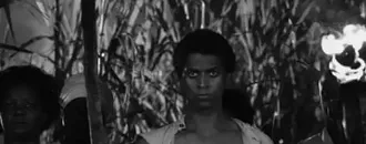 ‘An Embodiment Of White Fears’: How Zombies Went From Haitian Spiritual Tradition To Hollywood Monsters