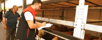Kurban Bayramı öncesi hayvanlara yol denetim istasyonlarında sıkı kontrol