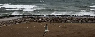 Meteoroloji’den Marmara ve Batı Karadeniz’e Fırtına Uyarısı Var