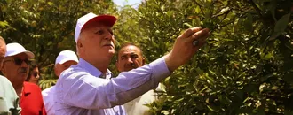TZOB Genel Başkanı Bayraktar, Hatay'da narenciye bahçelerinde incelemelerde bulundu: