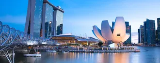 Yapay Zeka Ortalığı Karıştırdı: Singapur'da Sahte Timsah Paniği