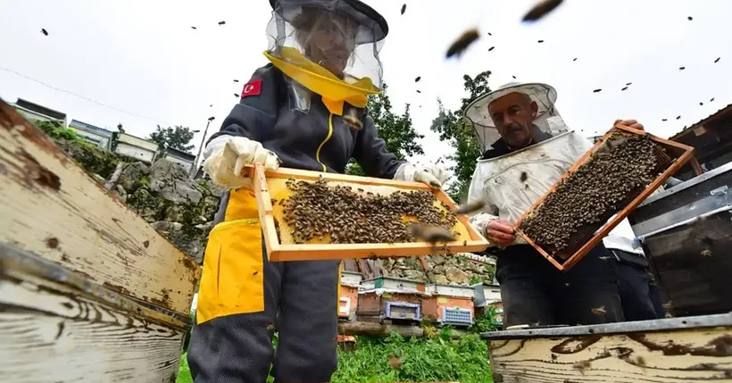 Artvin'de Arı ve Bal Turizmi İçin Yeni Adım: Apiturizm İçin Düğmeye Basıldı