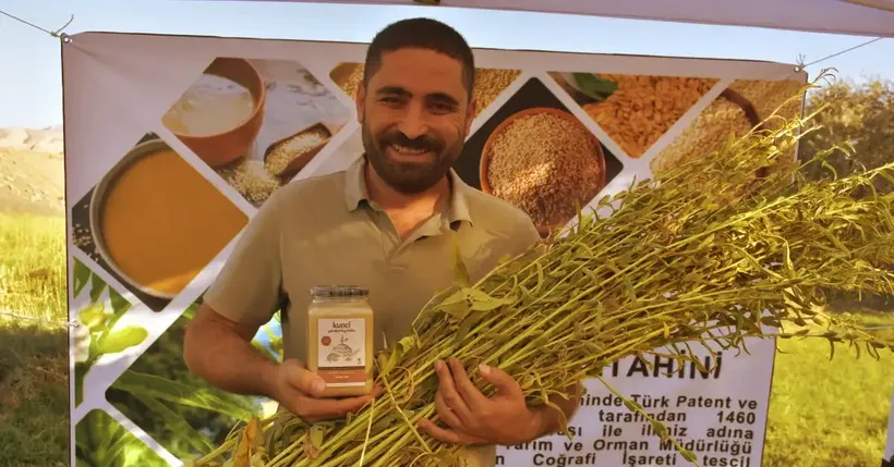 Dergul tahini tescillenince Şırnak'ta susam üretim alanı arttı
