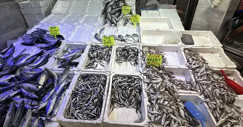 Karadeniz'de balık bolluğu tezgahlara yansıdı: Fiyatlar ne kadar?