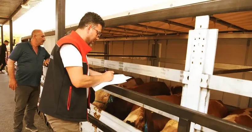 Kurban Bayramı öncesi hayvanlara yol denetim istasyonlarında sıkı kontrol Kurban Bayramı öncesi hayvanlara yol denetim istasyonlarında sıkı kontrol