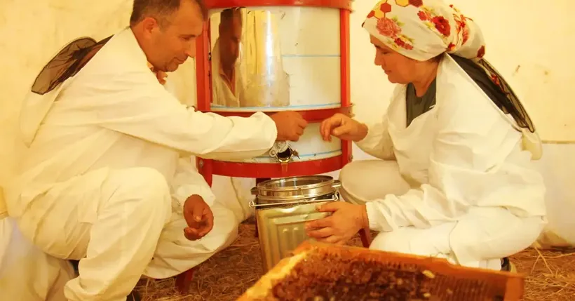 Mersin'de keçiboynuzu balında hasat dönemi başladı