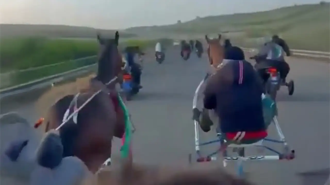 Film Sahnelerini Aratmayan Yasa Dışı Yarış! Kalaşnikoflarla At Koşturdular