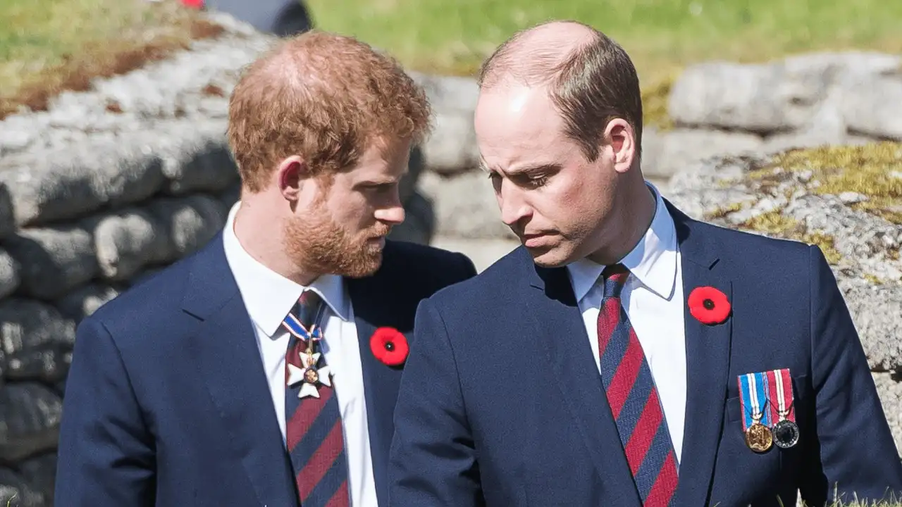 'William Kral Olunca Harry Hiçbir Şey Alamayacak'